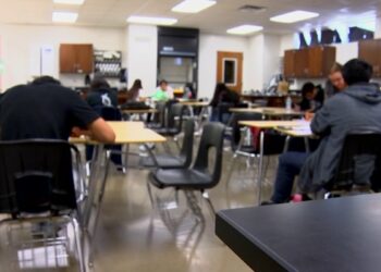 Students Say Schools Must Tackle Mental Health to Improve Performance – NBC 5 Dallas-Fort Worth