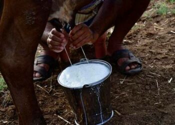 Demonisation of dairy sector must stop