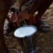 Demonisation of dairy sector must stop