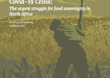 Towards a Just Recovery from the Covid-19 Crisis