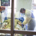 A look at COVID-19 remedies: Which ones work finest?