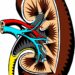 Alternative To Using Race In Kidney Function Test Found