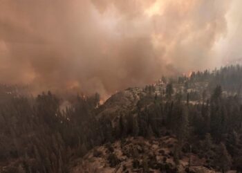 Mental health could be the next casualty of global warming