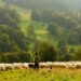 The time to reinstate food systems in economic policies is now