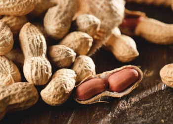 Regular peanut consumption may enhance memory and stress response in young population