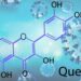 two-new-studies-show-quercetin-improves-covid-outcomes