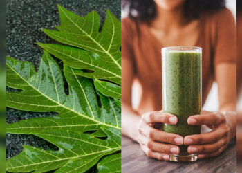 Papaya leaf juice: Health benefits, how to make and the right way to consume