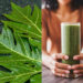 Papaya leaf juice: Health benefits, how to make and the right way to consume