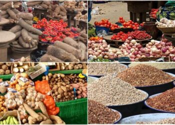 GAIN urges Nigerians to embrace home garden