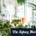 There’s a reason why you want more plants in your home