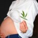 Effects of marijuana use on female reproductive health and pregnancy