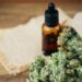 Why it’s time to treat medicinal cannabis as an alternative therapy, not a pharmaceutical