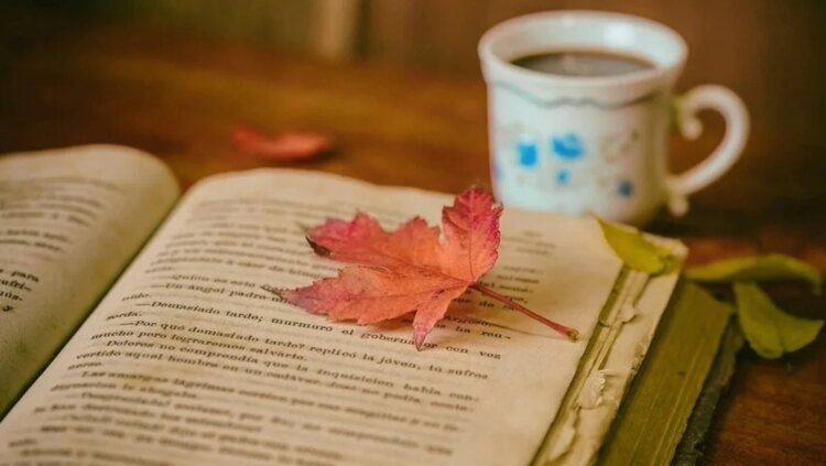 World Mental Health Day: Include these 8 hobbies in your routine to feel better | Health