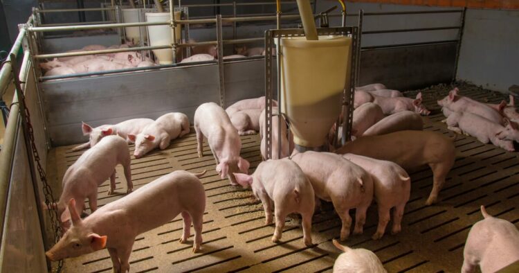 Transforming how we think about fiber