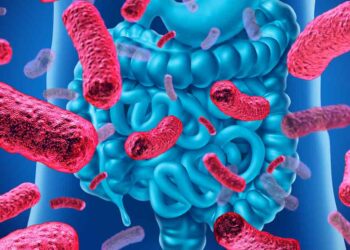 how-your-gut-health-impacts-your-disease-risk