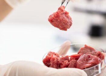 will-you-eat-cultured-meat-grown-from-human-cells?