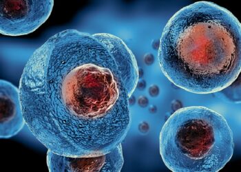 the-use-of-stem-cell-therapy