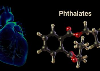 new-study-links-phthalates-to-cardiovascular-disease