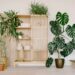 5-things-a-greenery-expert-wants-you-to-do-to-your-plants-right-now