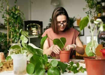 find-bugs-on-your-houseplants?-don’t-freak-out-—-do-this-instead
