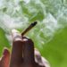 teen-marijuana-poisonings-have-skyrocketed.-how-to-keep-your-child-safe