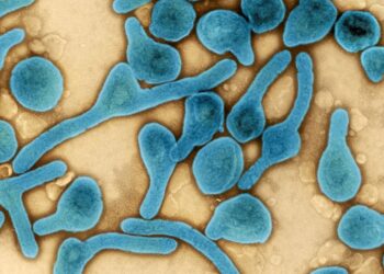 deadly-marburg-virus-spreads-to-tanzania-for-the-first-time