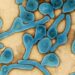 deadly-marburg-virus-spreads-to-tanzania-for-the-first-time