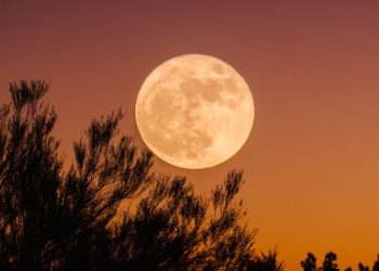 what-each-zodiac-sign-needs-to-know-for-the-upcoming-full-super-moon