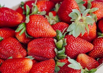 the-summer-fruit-a-nutritionist-wants-you-to-eat-for-cognition-&-heart-health