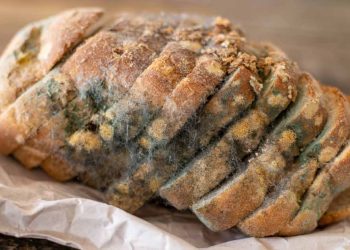 here’s-why-you-don’t-ever-want-to-eat-moldy-bread