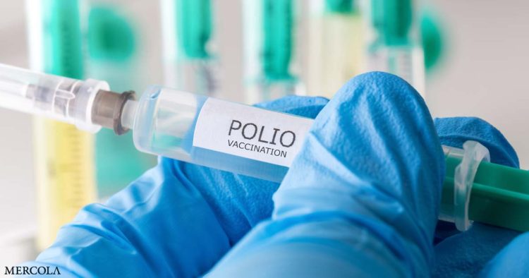 how-the-original-polio-vaccine-was-made