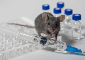 10-mice-used-to-test-the-newest-pfizer-covid-jab