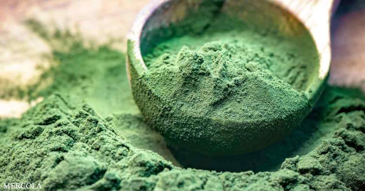 14-health-benefits-of-spirulina-powder