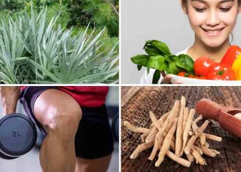top-7-tips-to-balance-your-hormones