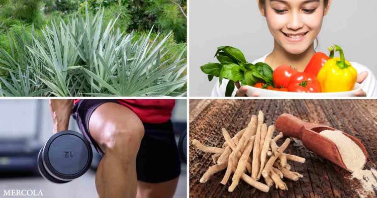 top-7-tips-to-balance-your-hormones