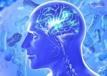new-study-shows-a-specific-gut-bacteria-linked-to-alzheimer’s