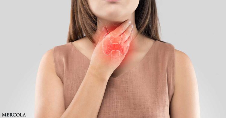 are-your-adrenal-glands-affecting-your-thyroid?