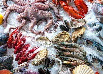 seafood-can-resolve-many-nutrient-deficiencies