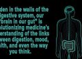 heartburn-during-the-holiday-season?-learn-tips-to-prevent-and-manage-holiday-heartburn