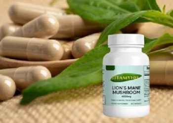 discover-nature’s-brain-booster-from-vitamynn