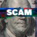 why-do-people-go-for-scams?