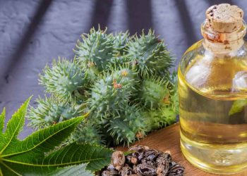 practical-reasons-to-stock-a-bottle-of-castor-oil-at-home