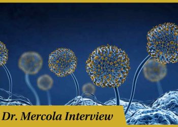 how-spore-probiotics-can-help-you