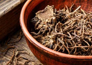 can-valerian-root-help-you-sleep-better?