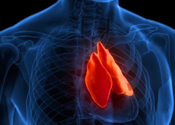 could-your-thymus-be-the-key-to-fighting-cancer?