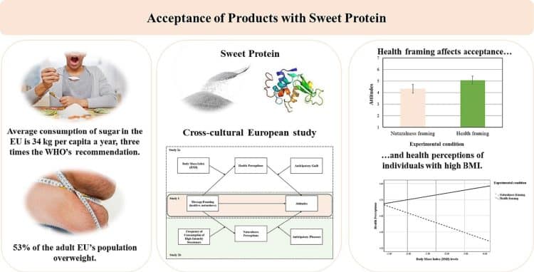 Health benefits and natural ingredients key to promoting sweet protein alternatives over sugar