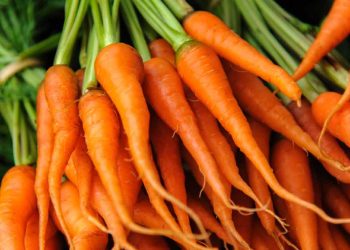 are-baby-carrots-as-good-for-you-as-full-size?