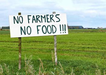 nitrogen-2000-—-the-dutch-farmer-struggle