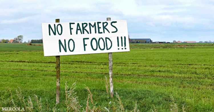 nitrogen-2000-—-the-dutch-farmer-struggle