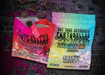 stnr-creations-launches-revolutionary-amanita-mushroom-gummies